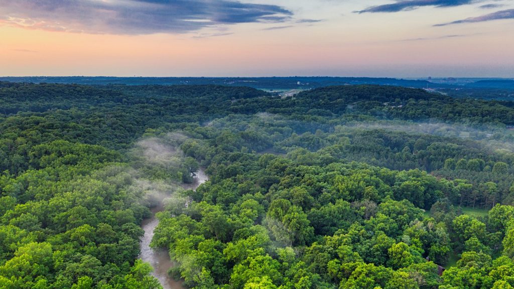 Hibridació i Emmagatzematge: el camí cap a l’H2 Verd