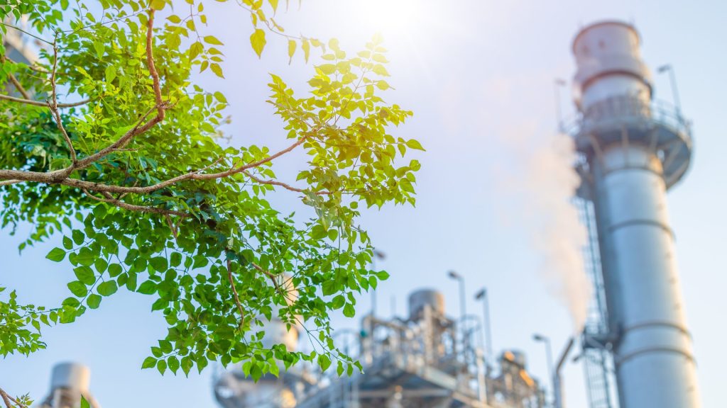 Càlcul de la petjada de carboni